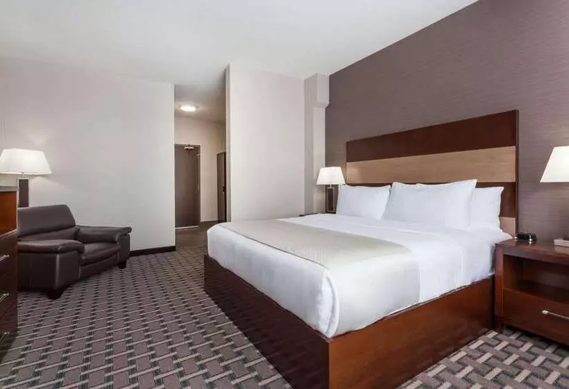 ホテル Wyndham Garden Edmonton Airport