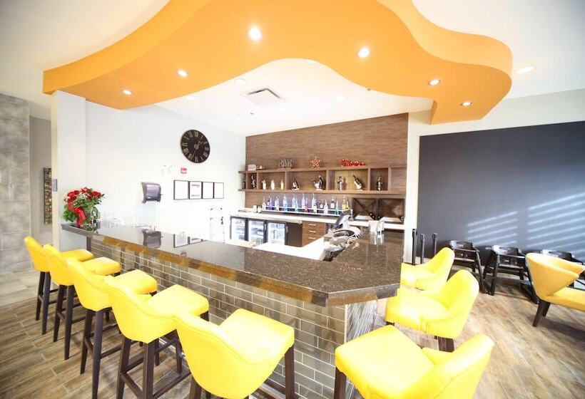 هتل Wyndham Garden Edmonton Airport