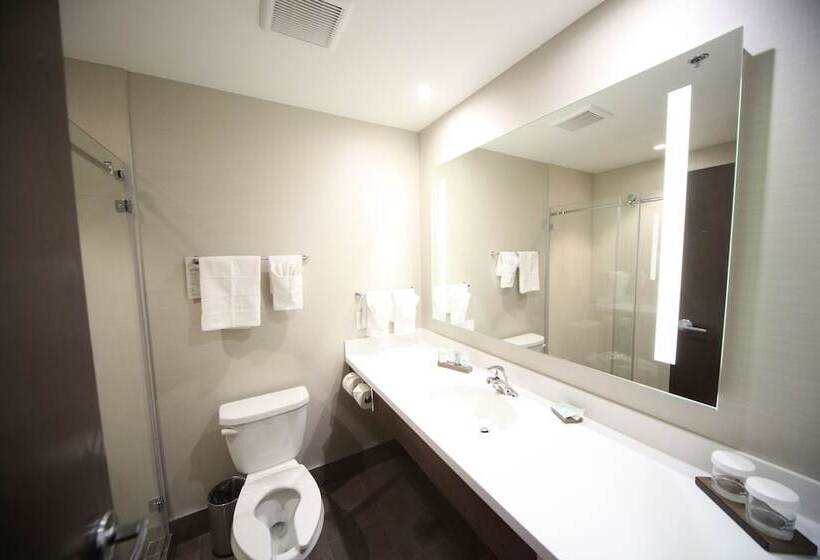 هتل Wyndham Garden Edmonton Airport