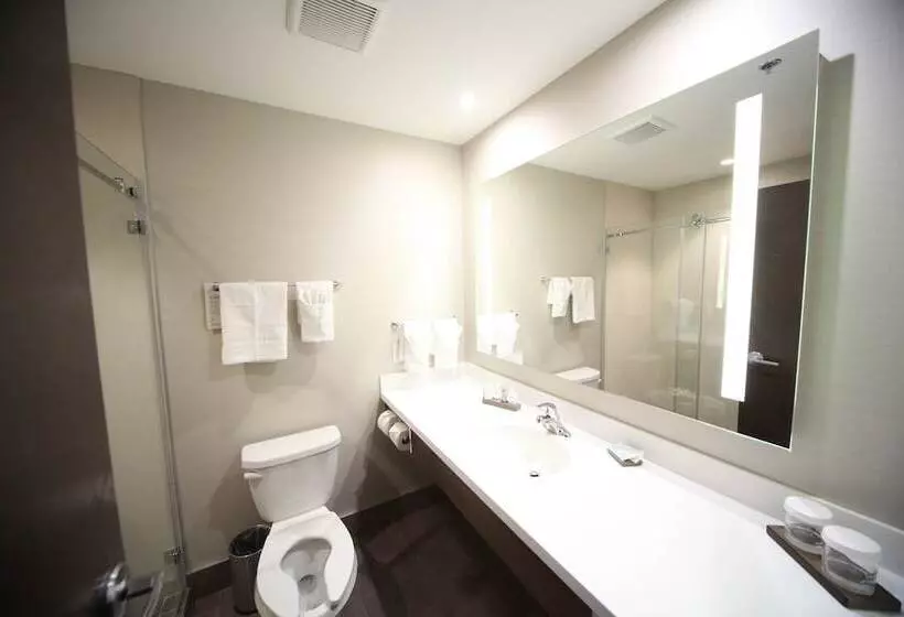 ホテル Wyndham Garden Edmonton Airport