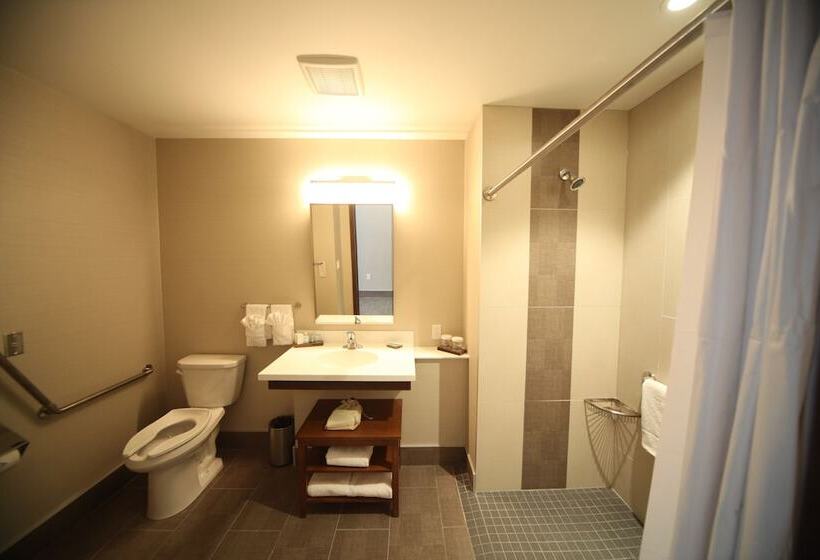 هتل Wyndham Garden Edmonton Airport