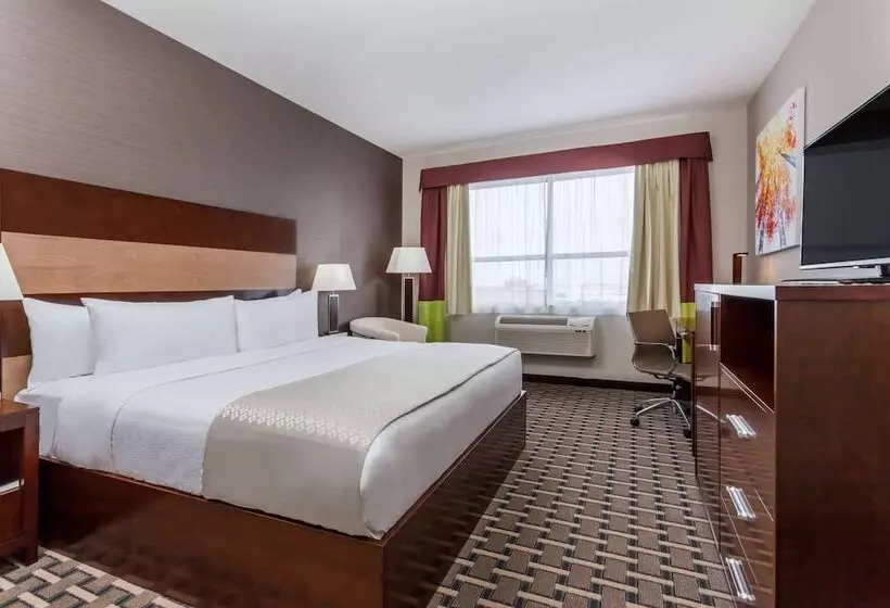 ホテル Wyndham Garden Edmonton Airport