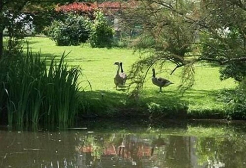 Пансион Au Bas Chalonge