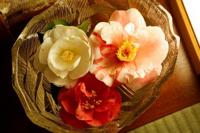 The Gallery Inn Tsubakino Ryokan