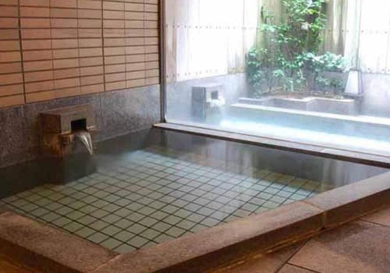 The Gallery Inn Tsubakino Ryokan