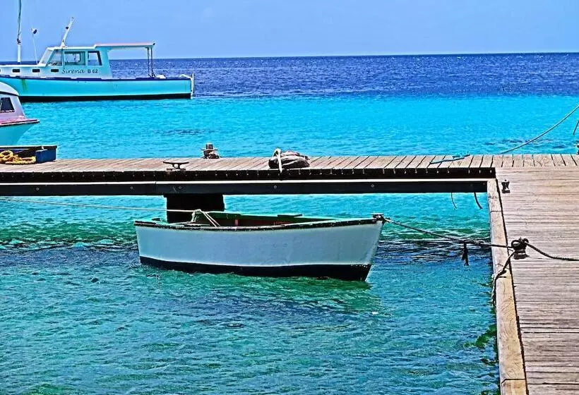 Treasure By The Sea Bonaire