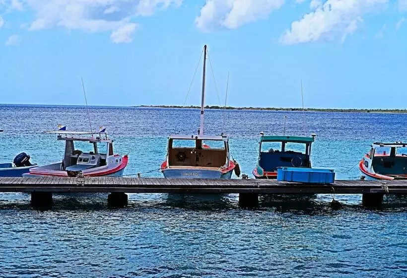 Treasure By The Sea Bonaire
