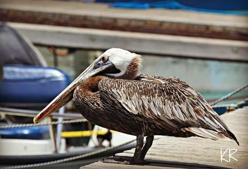Treasure By The Sea Bonaire