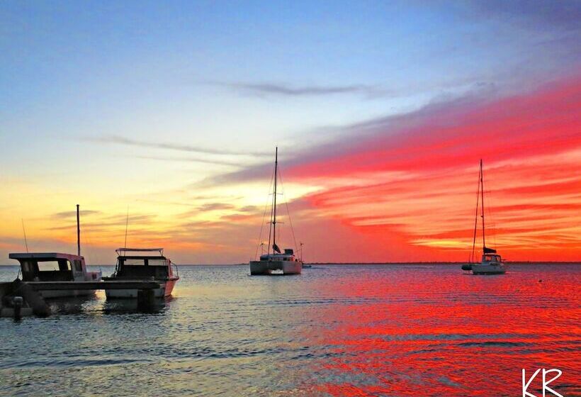 Treasure By The Sea Bonaire