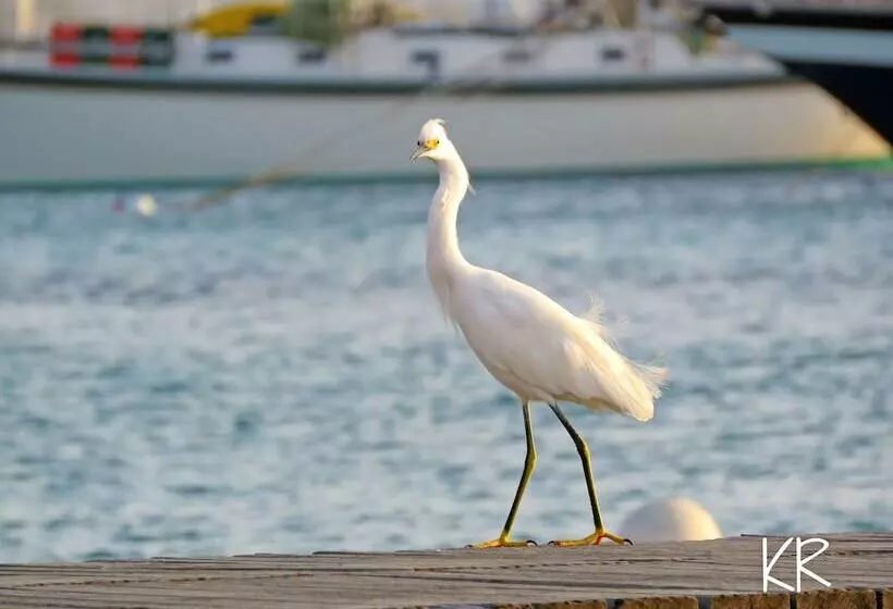 Treasure By The Sea Bonaire