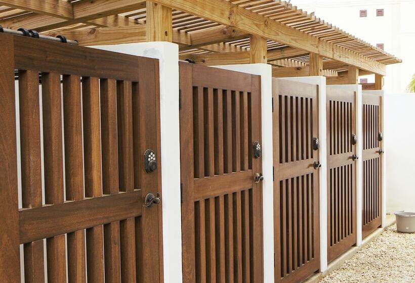 Treasure By The Sea Bonaire