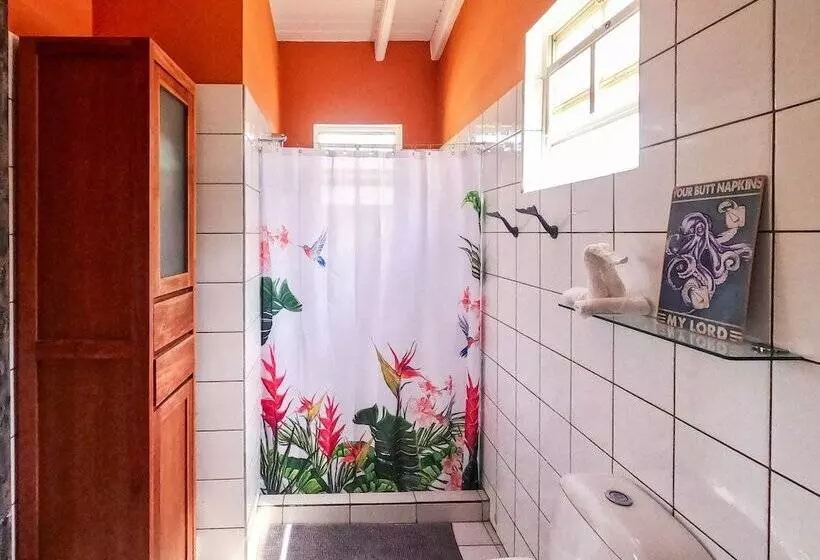 Treasure By The Sea Bonaire