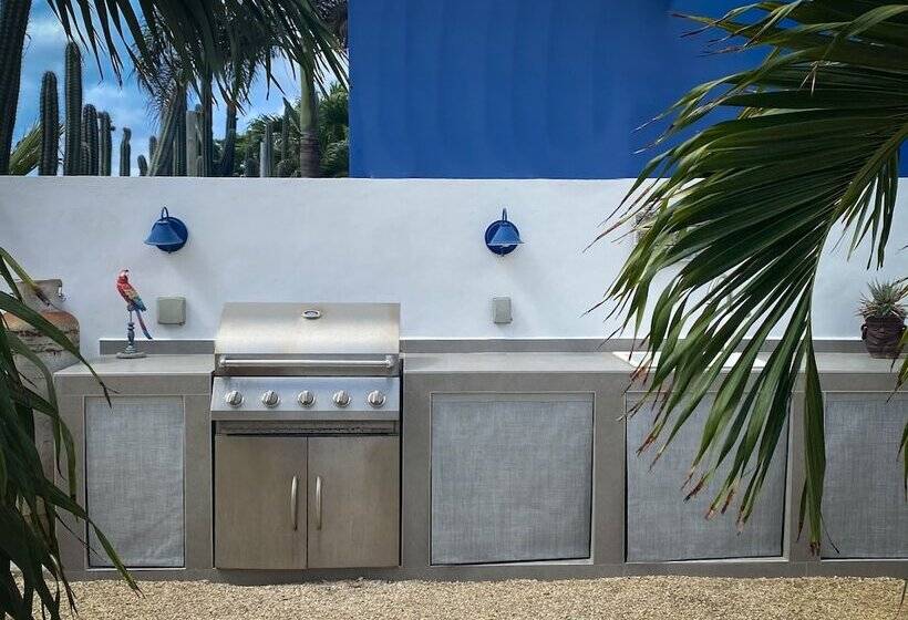 Treasure By The Sea Bonaire