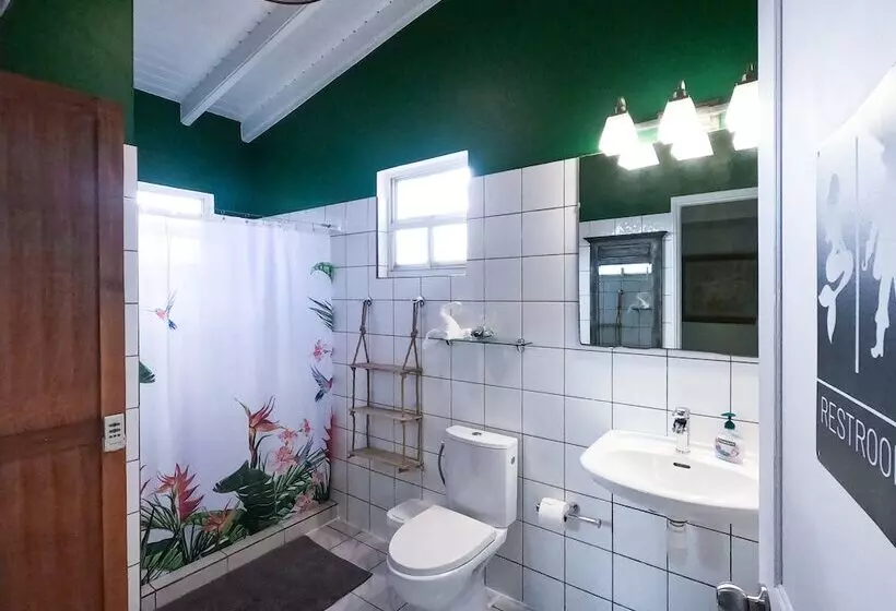 Treasure By The Sea Bonaire