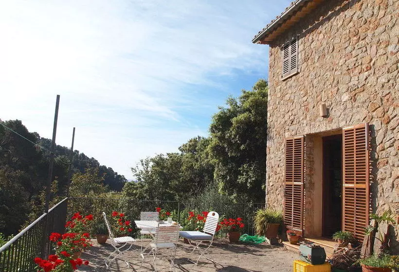 Villa Son Quint