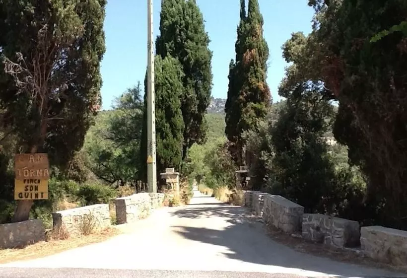 Villa Son Quint