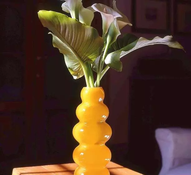 Aamiaismajoitus (B&B) Antica Casa Le Rondini