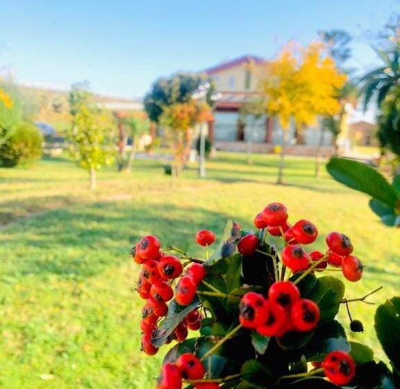 住宿加早餐  La Primula