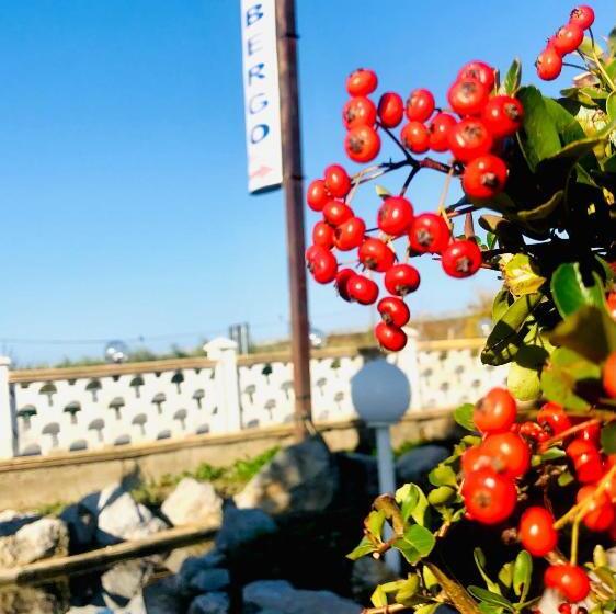 住宿加早餐  La Primula