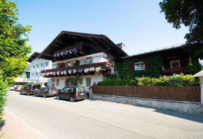 مبيت وإفطار Pension Max