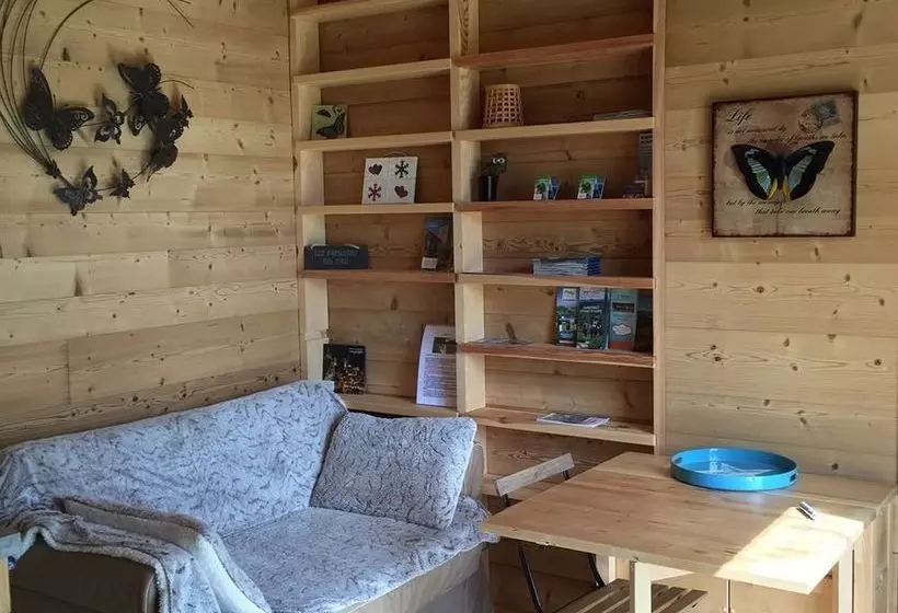 Ecogîte Les Papillons Des Sucs