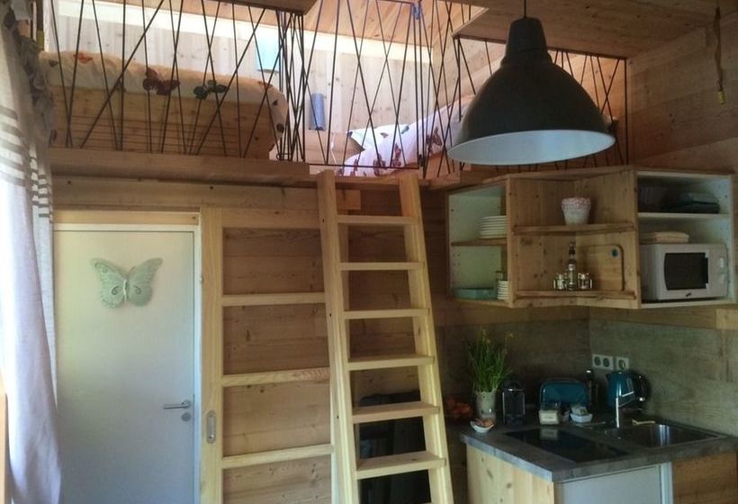 Ecogîte Les Papillons Des Sucs