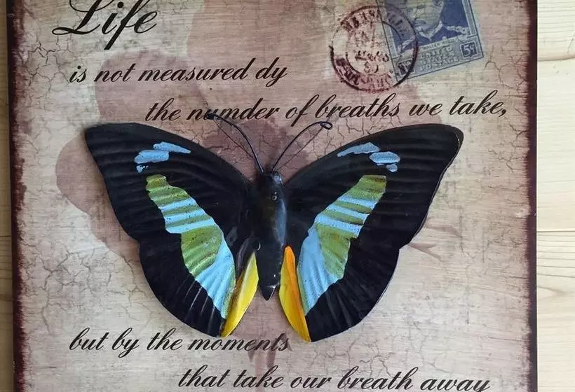 Ecogîte Les Papillons Des Sucs