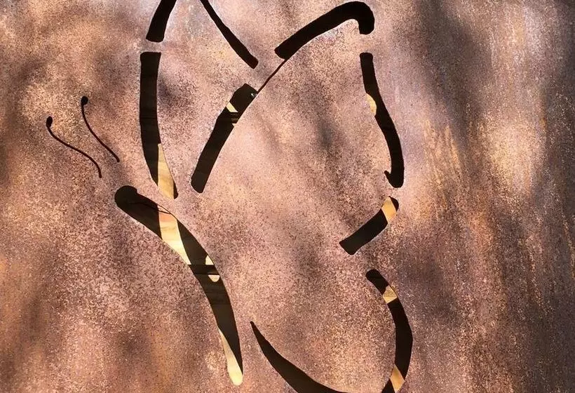 Ecogîte Les Papillons Des Sucs