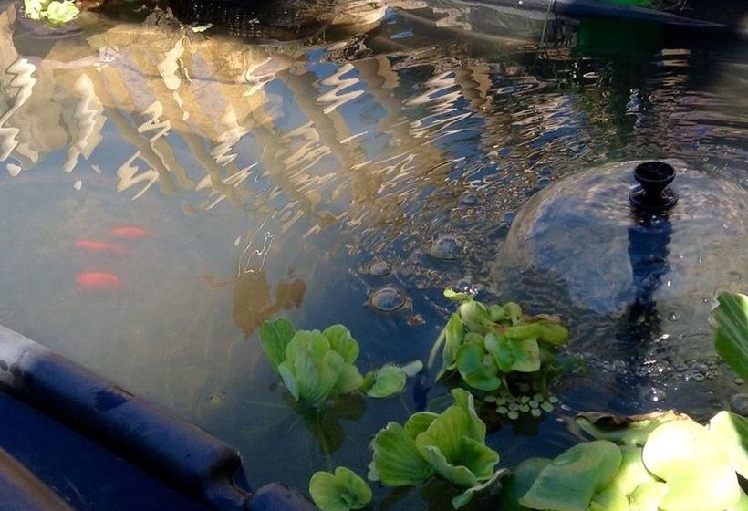 Ecogîte Les Papillons Des Sucs