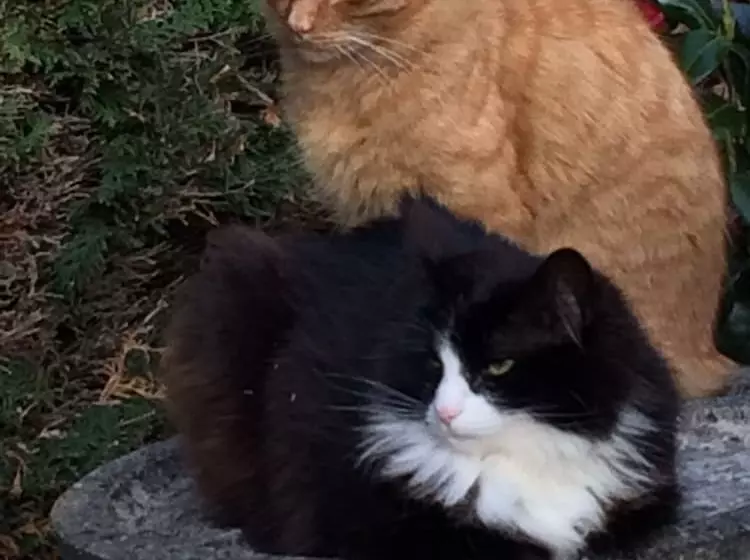 هتل Ashleigh House B&b