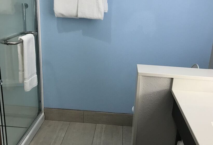 فندق Holiday Inn Express & Suites Summerville, An Ihg