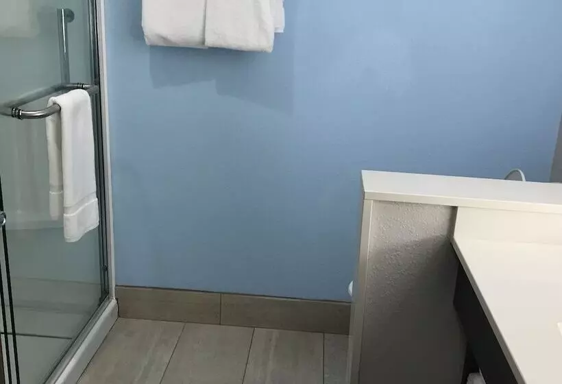 Hotelli Holiday Inn Express & Suites   Summerville, An Ihg