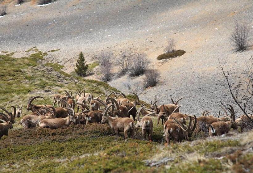 Отель Le Mont Barral