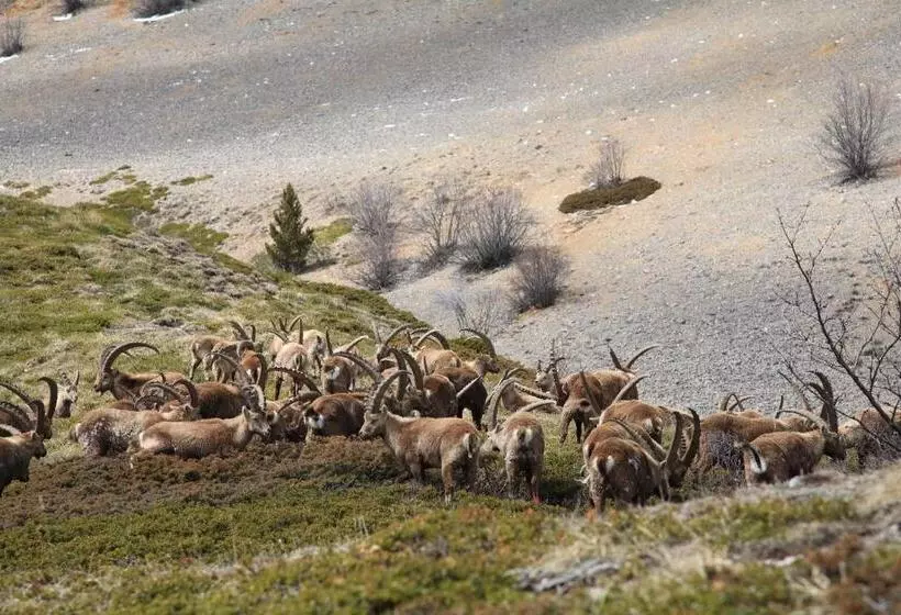 ホテル Le Mont Barral