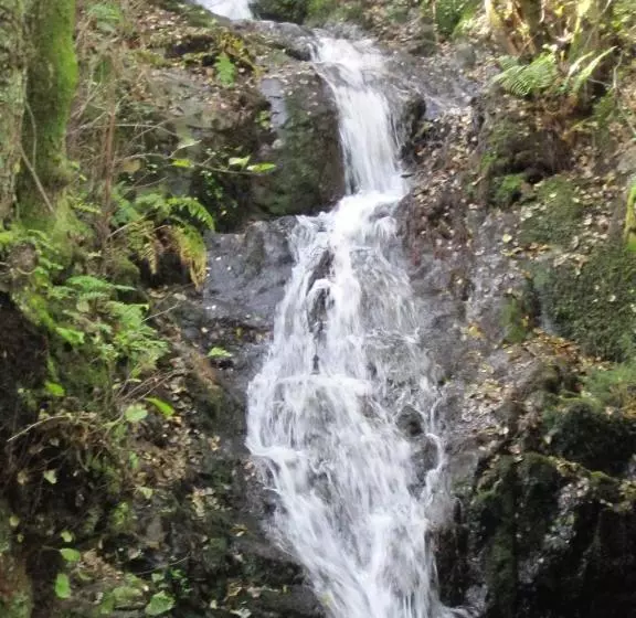 هتل Rural Montealegre