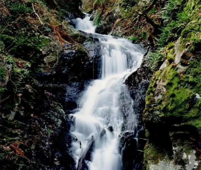 هتل Rural Montealegre