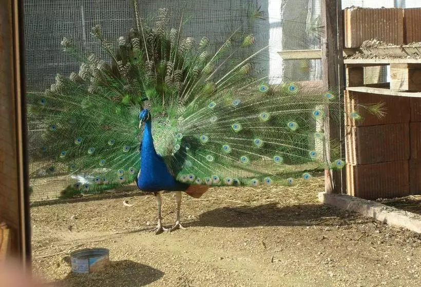 ホテル Señorío De Monterruiz