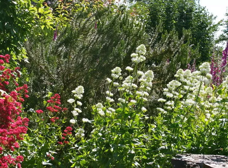 La Coulombe