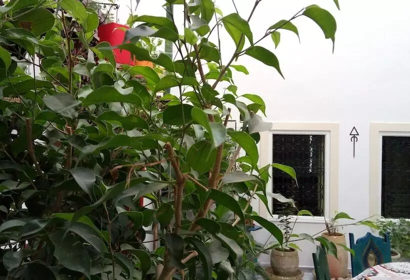 پانسیون El Patio Courtyard House