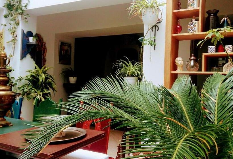 پانسیون El Patio Courtyard House