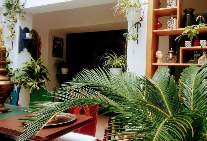 پانسیون El Patio Courtyard House