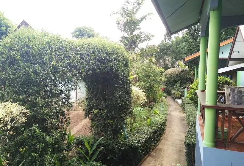 پانسیون Mr Jan Guesthouse