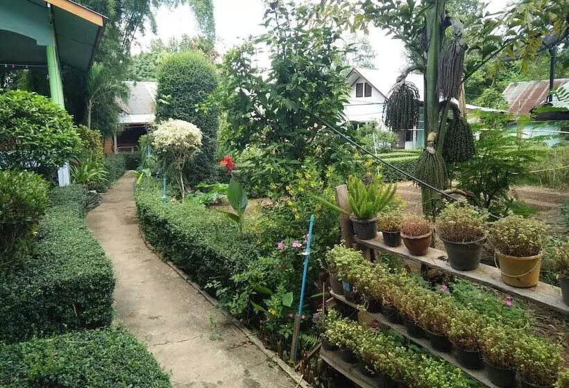 پانسیون Mr Jan Guesthouse