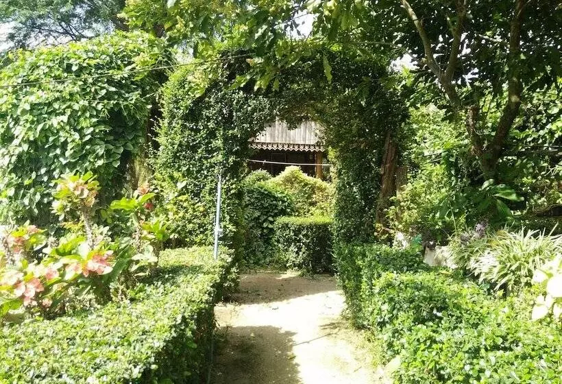 پانسیون Mr Jan Guesthouse