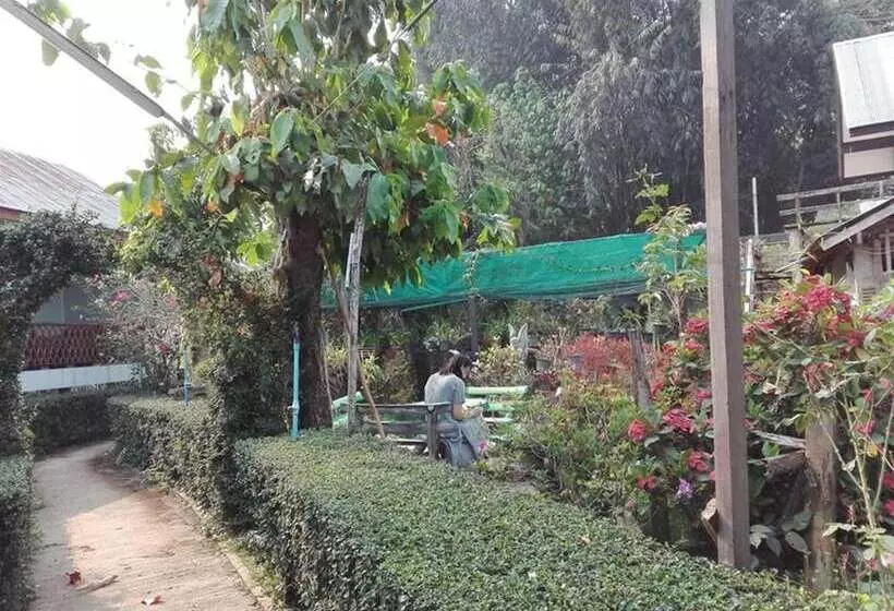 پانسیون Mr Jan Guesthouse