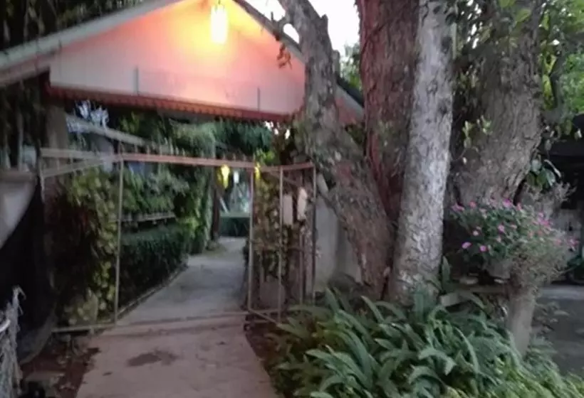 پانسیون Mr Jan Guesthouse