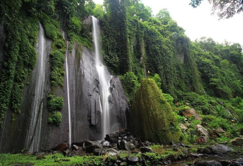 Bed and Breakfast Lovina Central Hostel