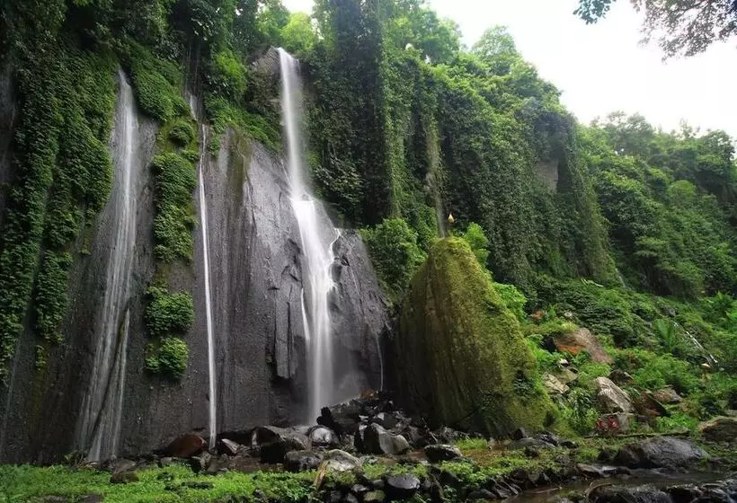 ベッドアンドブレックファースト Lovina Central Hostel