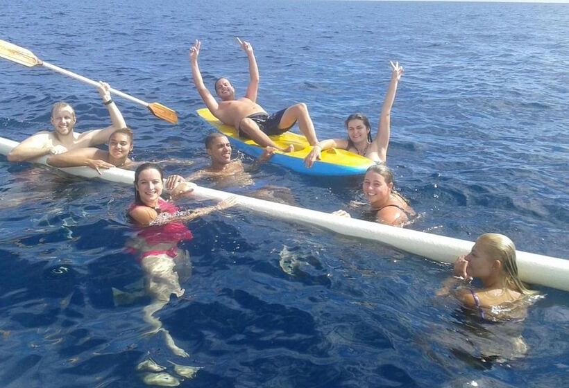 Bed and Breakfast Lovina Central Hostel