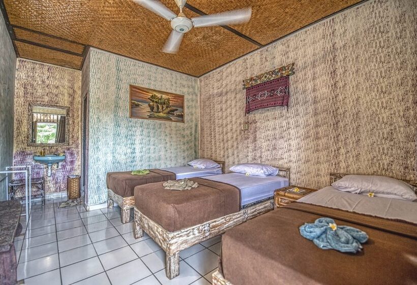 Bed and Breakfast Lovina Central Hostel